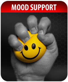 MOOD SUPPORT SUPPLEMENTS by Vitamin Prime